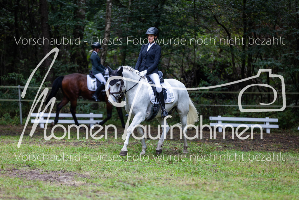 HB-A-Dressur-085 | MomenTaufnahmen Pferdesportfotos