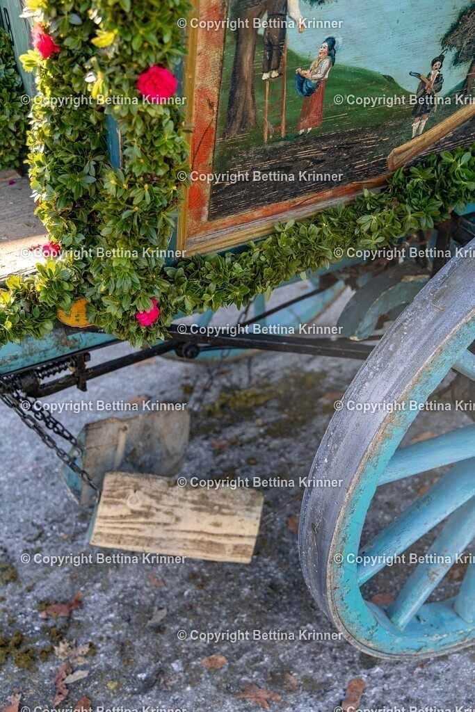 LBT25-1008 | foto-bettina-krinner - Realisiert mit Pictrs.com