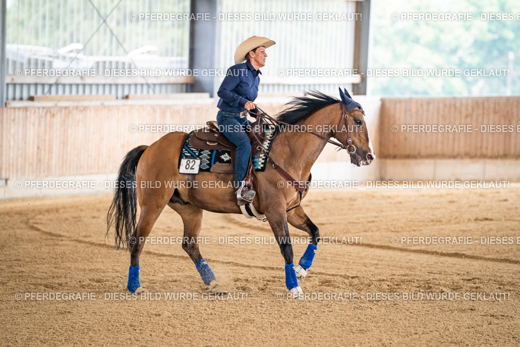 DSC04236 | Pferdegrafie