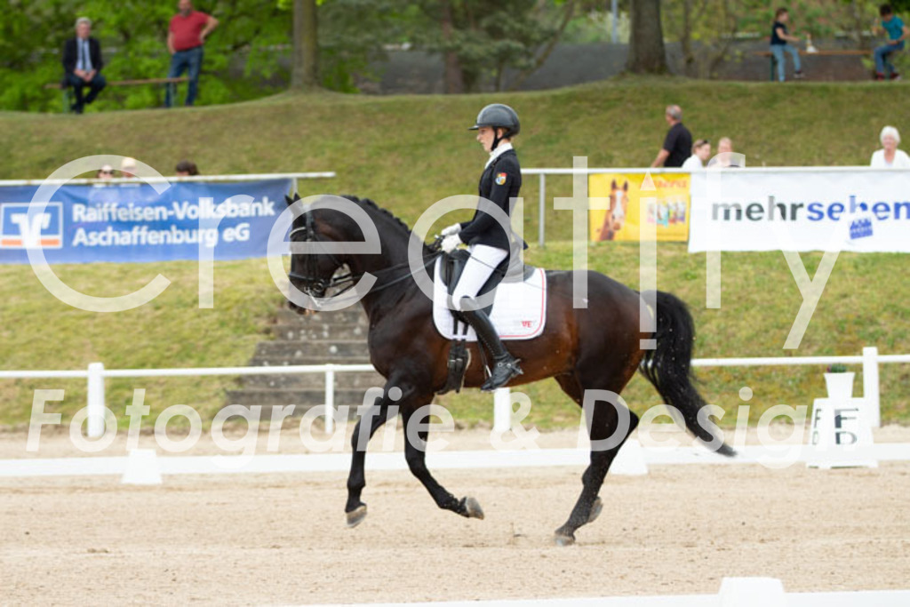 IMG_3014 | Creatify Fotografie