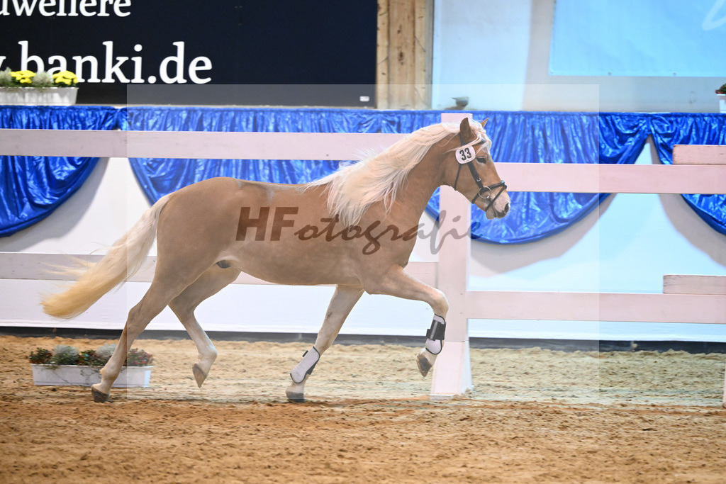 Kat-Nr. 33 nn v. Neymar_Stecher_60220530 | hf-fotografie - Realisiert mit Pictrs.com