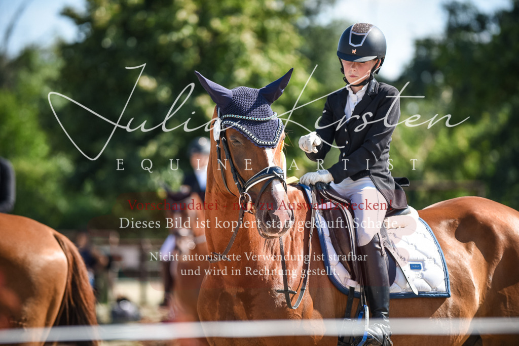 DSC_9707 | Pferde- und Turnierfotografie in Westsachsen. Pferdeportraits, Auftragszeichnungen und intuitive Kunst.