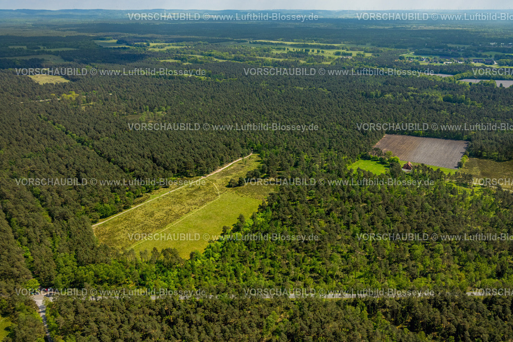 SchlossHolteStukenbrock240505155Moosheide_Heidelandschaft | Luftbild, NSG Naturschutzgebiet Moosheide in der Senne, Heidelandschaft Waldgebiet am Emser Kirchweg, Fernsicht, Wandergebiet, Hövelhof, Ostwestfalen, Nordrhein-Westfalen, Deutschland