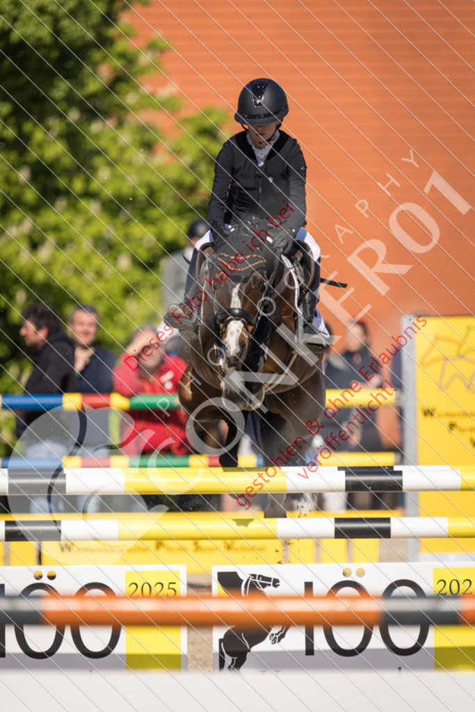 IMG_3400 | Sport-, Event- und Tierfotos in Profiqualität. Einfach auswählen, bestellen und herunterladen. Dein Moment – perfekt festgehalten.