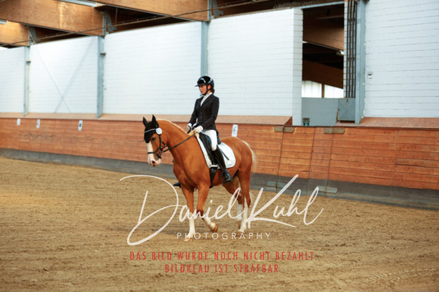 _62_5177 | Turniersportfotografie; Pferdefotografie; Dressurfotografie