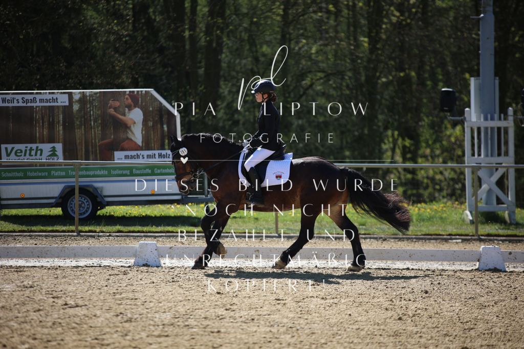 IMGT0393 | pl-fotografie