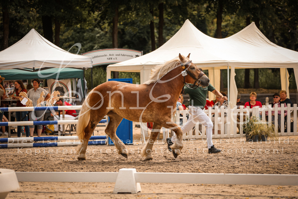 4.Sa00070 | Leoni Ertmer Photography - Realisiert mit Pictrs.com