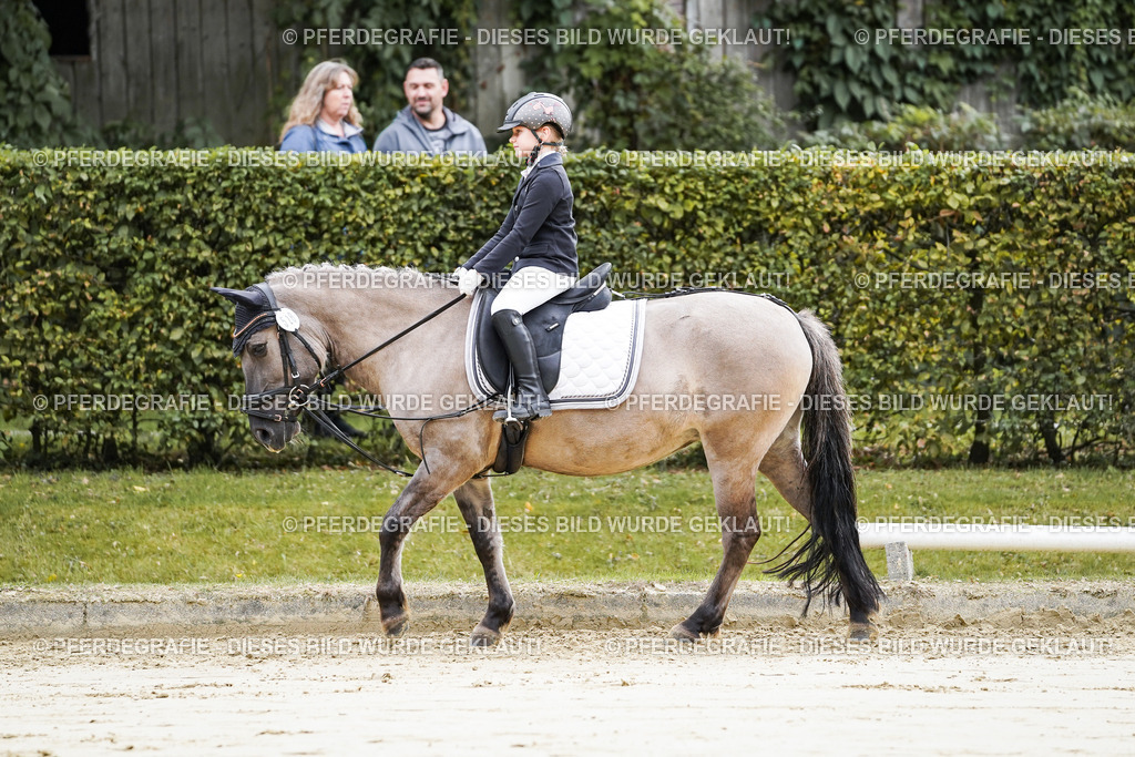 DSC05093 | Pferdegrafie