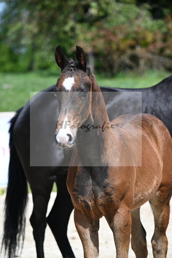 Escaneno x Negro_HF_Eder_11240492 | hf-fotografie - Realisiert mit Pictrs.com