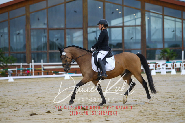 DKP43518 | Turniersportfotografie; Pferdefotografie; Dressurfotografie