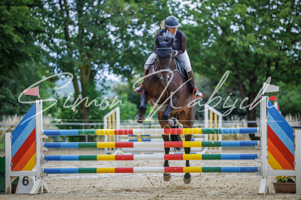 20260705-_3LI5843 | Tierfotografie Pferde, Hunde, Katzen, Haustiere.
Turnierfotografie Reitturniere, Reiten, Springreiten, Dressur in Hanau, dem Main-Kinzig-Kreis und dem Rhein-Main- Gebiet um Frankfurt