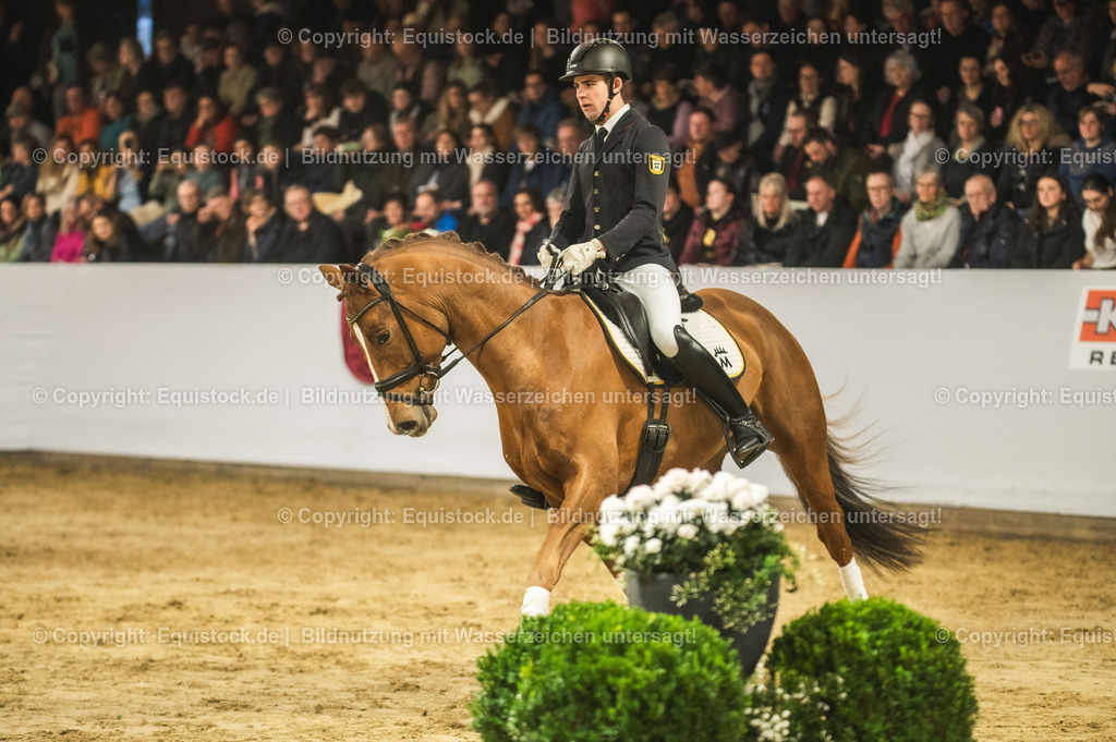 20240302_Hengstvorstellung_Marbach_TOMsPiC_0337 | equistock
