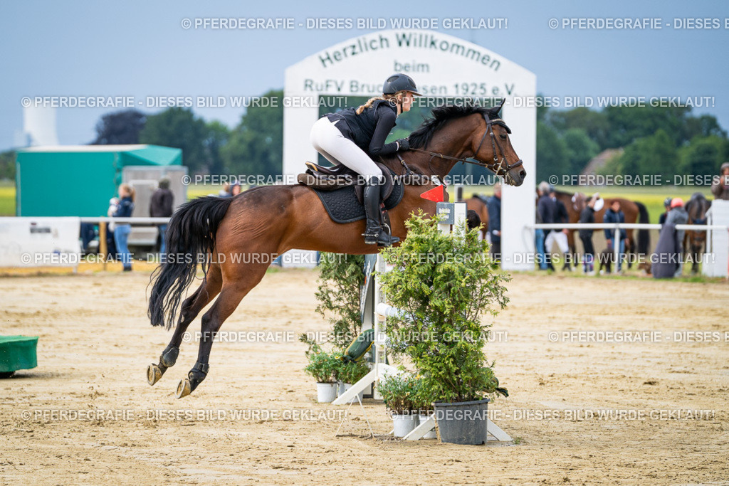 DSC03863 | Pferdegrafie