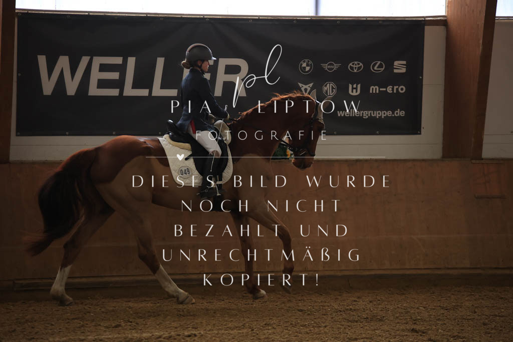 IMGT9953 | pl-fotografie