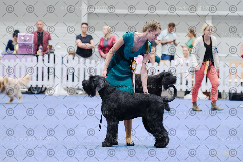 202406_ÖKV-IHA-Tulln24_DSC_2783 | proPHOTO - Realisiert mit Pictrs.com