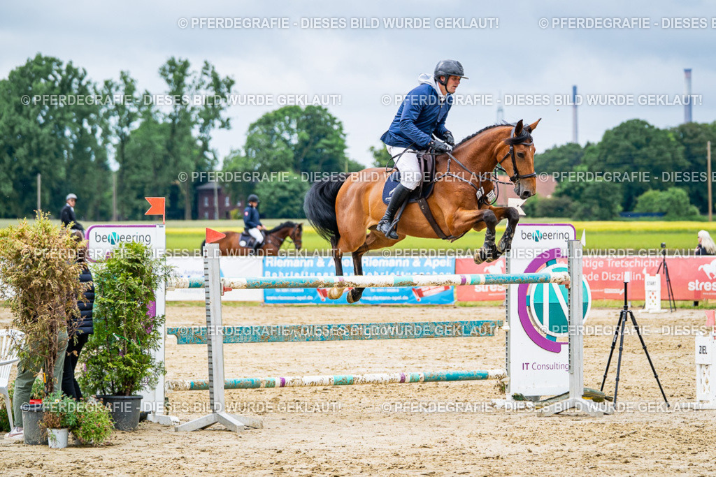 DSC04288 | Pferdegrafie