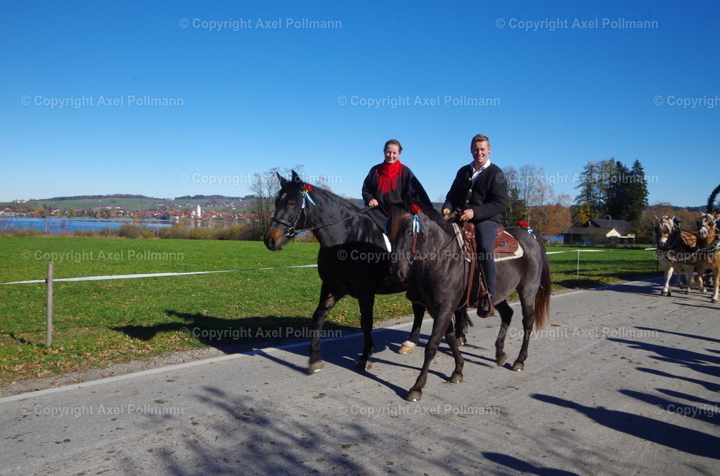 IMGP8604 | fotografiert von Axel PollmannLeonhardi Wallfahrt Benediktbeuern und Murnau, Fronleichnam, Fasching, Landschaft im Loisachtal und Benediktbeuern  - Realisiert mit Pictrs.com