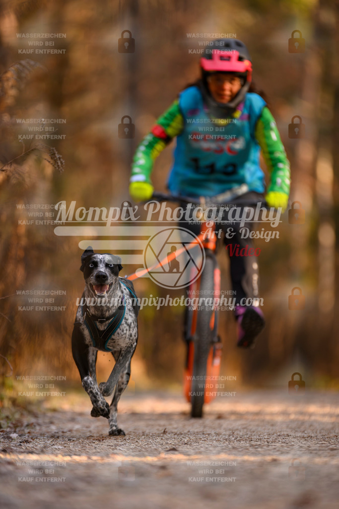MompixPhotography_DM_AKDM_SO_2025_Scooter-207 | PayLife