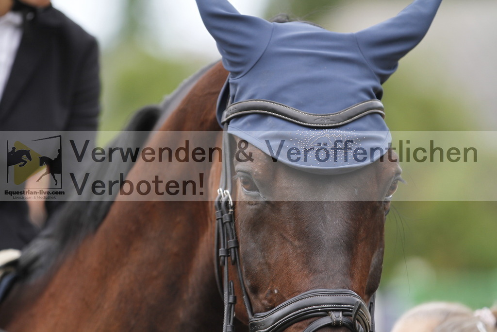 _MG_1933 | equestrian-live-com