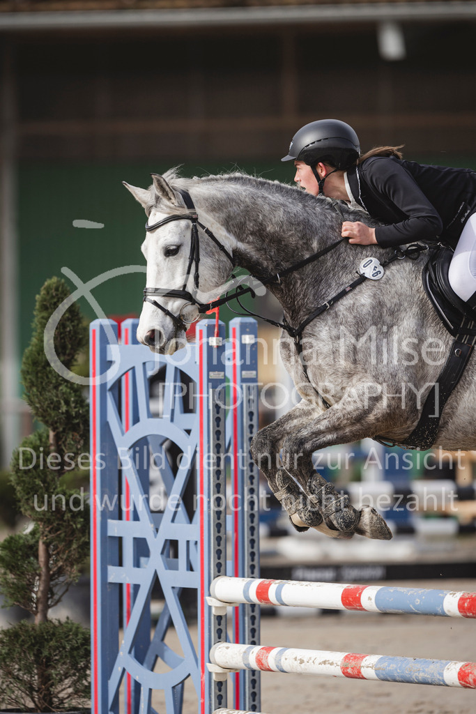 240330_Fruehlingsfest_Stil-A1_U30-333 | Deine schönsten Turniermomente als professionelle Fotos! Entdecke hochwertige Pferdesport-Fotografie im Online-Shop. Jetzt Fotos finden & bestellen!