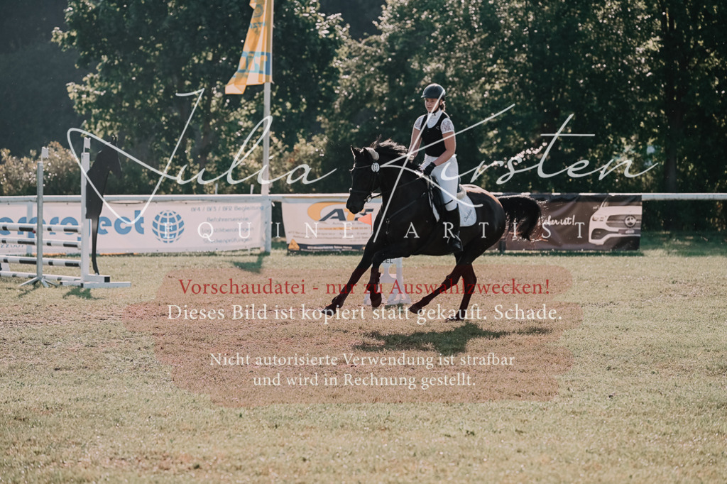 DSC_4527 | Pferde- und Turnierfotografie in Westsachsen. Pferdeportraits, Auftragszeichnungen und intuitive Kunst.