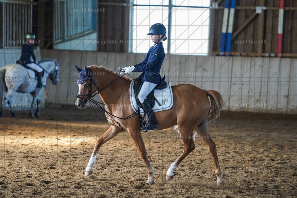 20230916-FAH08604 | Landsberg am Lech 2023, Turnierbildern, Turnierbilder Bayern, Reitsportfotograf, Pferdefotograf Bayern, Turnierfotos Landsberg, Fotoagentur Herrmann, Turnierfotografen Bayern