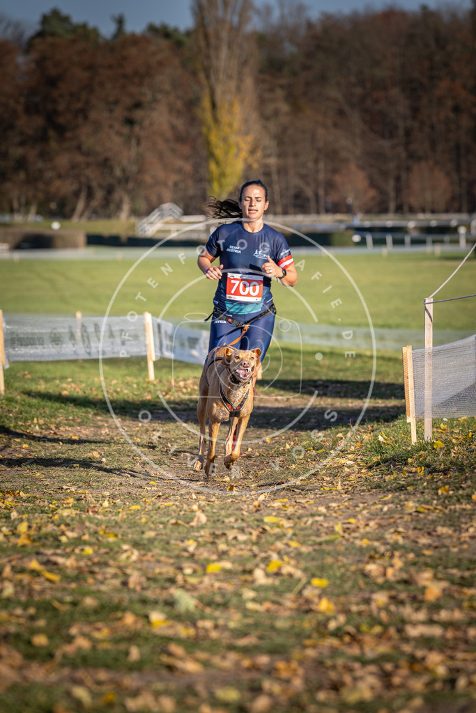 CaniXpix_DV3A1493 | Hundefotografie, Tierfotograf, Pfotenfotografie, Fotoshooting Hund, Hunde Portrait, Hundesport, Hundeportraits, Heideshooting, Hunde, Sportfotograf, Hundefotograf, Turnierhundsport, THS,  - Realisiert mit Pictrs.com
