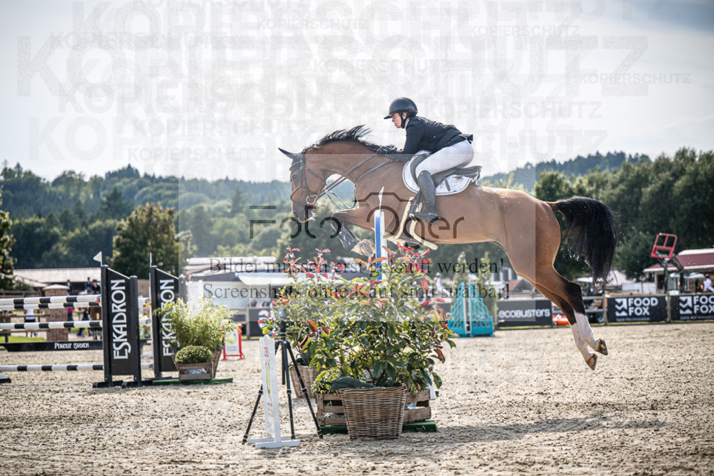 DOS_1155 | Entdecke hochwertige Reitturnierfotos von Foto Oger. Professionell, emotional und authentisch – jetzt Lieblingsmomente im Shop bestellen.Deutschlandweite Turnierfotografie. - Realisiert mit Pictrs.com