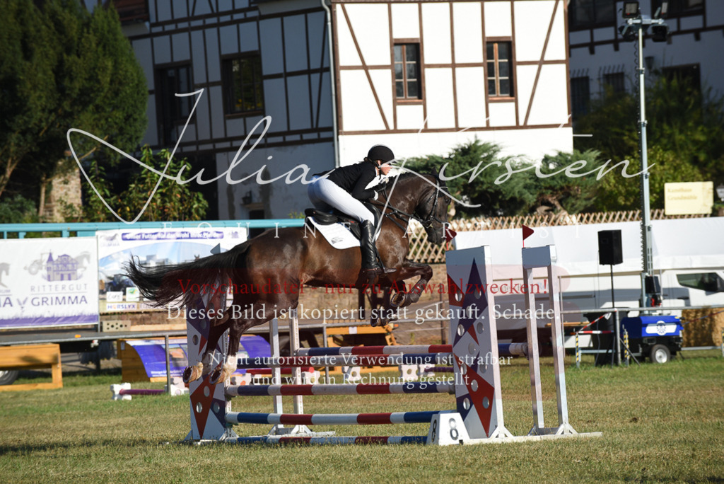 DSC_5032 | Pferde- und Turnierfotografie in Westsachsen. Pferdeportraits, Auftragszeichnungen und intuitive Kunst.