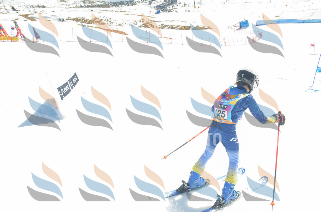 _ELE6058 | holidayphoto