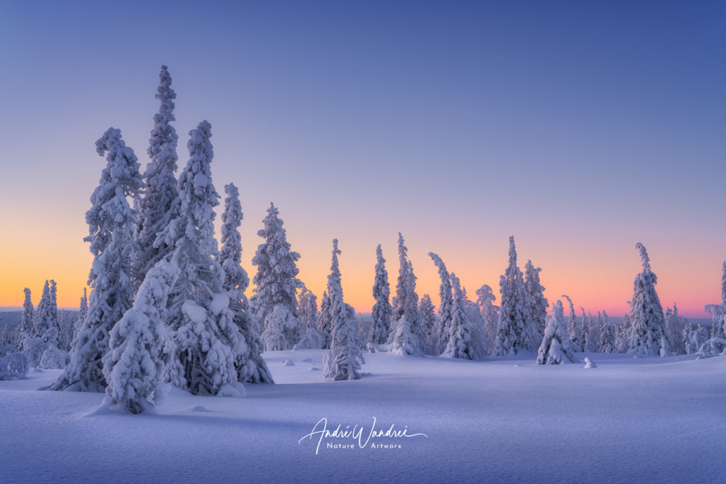 Zwischen Tag und Traum | Andre Wandrei - Nature Artworx - Realisiert mit Pictrs.com