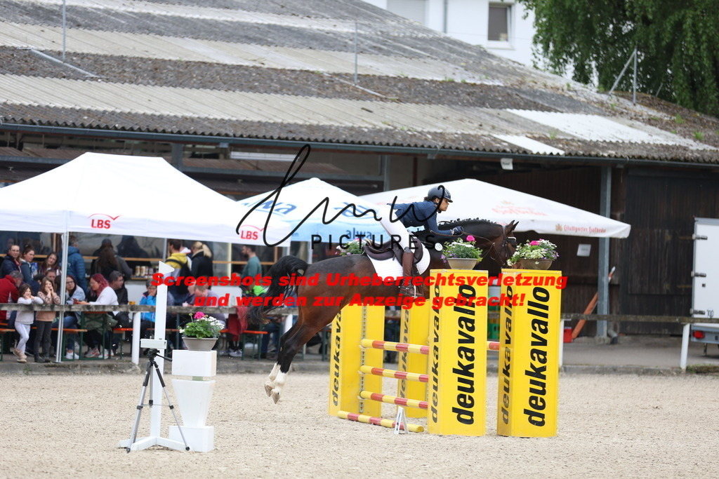 A40A4595 | lmwpictures - Realisiert mit Pictrs.com