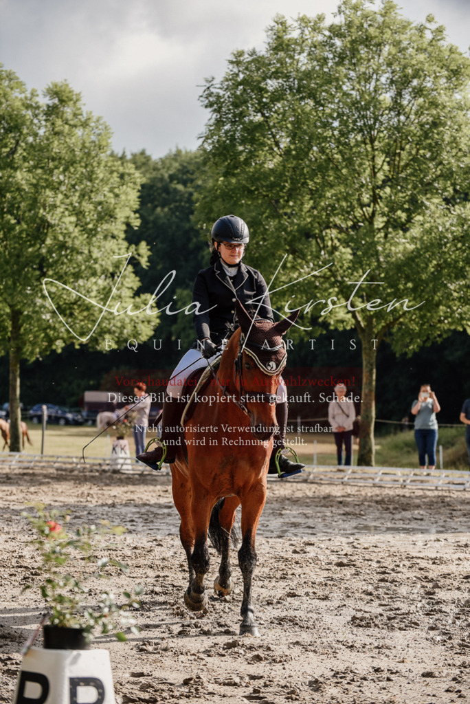 DSC_8473 | Pferde- und Turnierfotografie in Westsachsen. Pferdeportraits, Auftragszeichnungen und intuitive Kunst.
