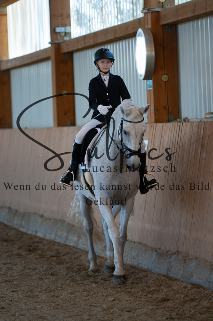 A7V01567 | Turnier/Reitfotograf