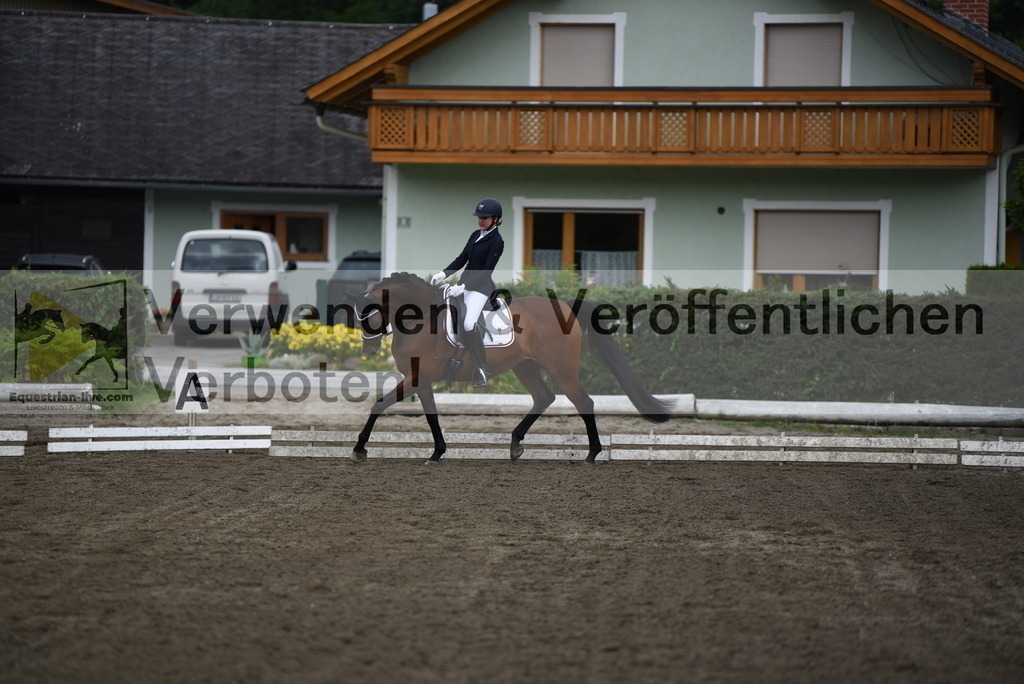 DSC_4150 | equestrian-live-com