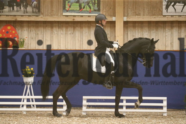 Turnier_Zeutern_2022_Prfg.Nr.02_Kurz-GrandPrix_Timo Kemmerer_Sunny Sunday G (1) | Alle Fotos der Reiterjournal Fotografin Doris Matthaes im Reiterjournal Online-Fotoshop. - Realisiert mit Pictrs.com