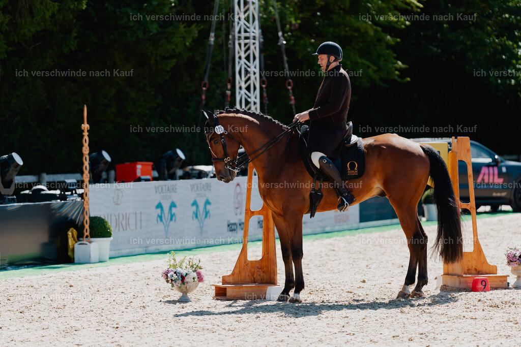 Gernot25_FHC2025-08312 | working equitationturnier fotograf videograf stoibphotography marixx film working equitation deutschland reitsport turnierfotografie eventfotografie equestrian events