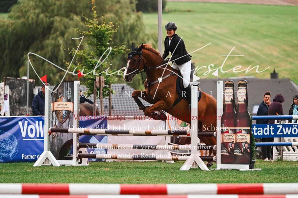 DSC_6430 | Pferde- und Turnierfotografie in Westsachsen. Pferdeportraits, Auftragszeichnungen und intuitive Kunst.