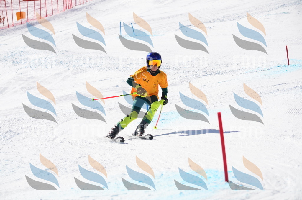 C8537 | holidayphoto