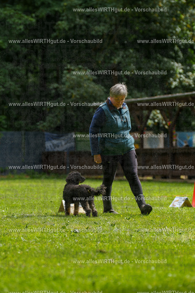 @allesWIRTHgut_Tierfotografie - www.allesWIRTHgut.de - 093007-7R507223 | Professionelle Tierfotografie in Mönchengladbach von Daniel Wirth (allesWIRTHgut). Liebevolle & natürliche Bilder von Hunden & Katzen für unvergessliche Erinnerungen.