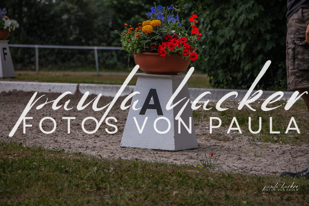 IMG_8855 | Erleben Sie dynamische Sport- und emotionale Tierfotografie in Süddeutschland mit Fotos von Paula. Spezialisiert auf Pferde- und Hundefotografie sowie Sportevents. Kontaktieren Sie mich für einzigartige und ausdrucksstarke Bilder Ihrer besonderen Momente.