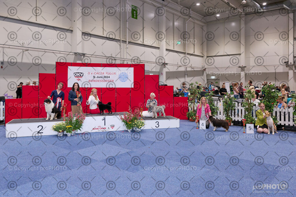 202406_ÖKV-IHA-Tulln24_NZ9_9493 | proPHOTO - Realisiert mit Pictrs.com