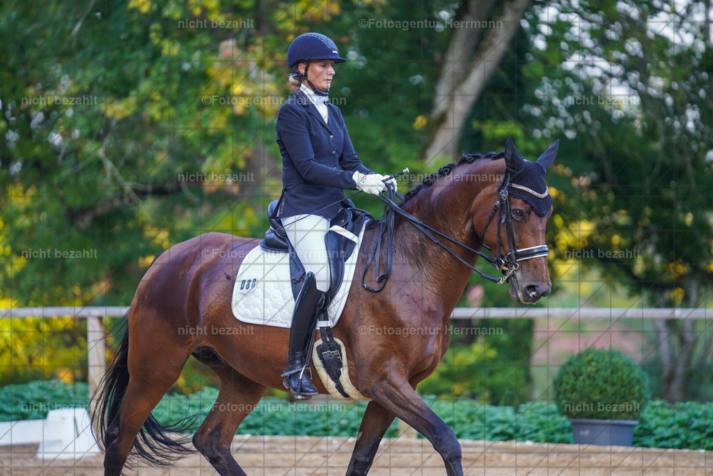 20221007-FAH00522 | Diessen am Ammersee, 2022, Dressur- und Springturnier, Reitsportbilder, Turnierfotografen Bayern, Pferdefotografen, Fotoagentur Herrmann, Turnierbilder