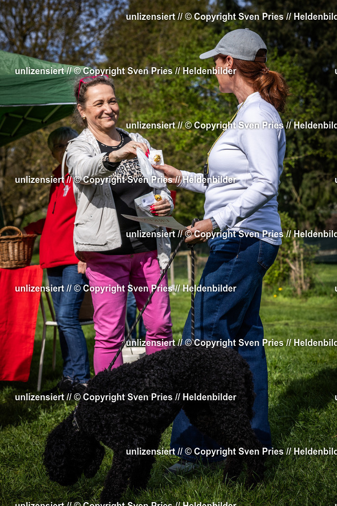 Sven Pries | 2025-04-13 - Hunderennen Baden-Baden - Realisiert mit Pictrs.com