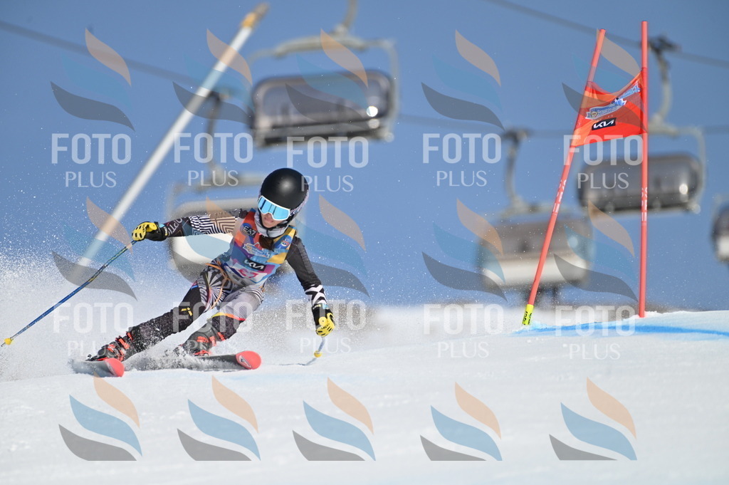 BGV_8084 | holidayphoto