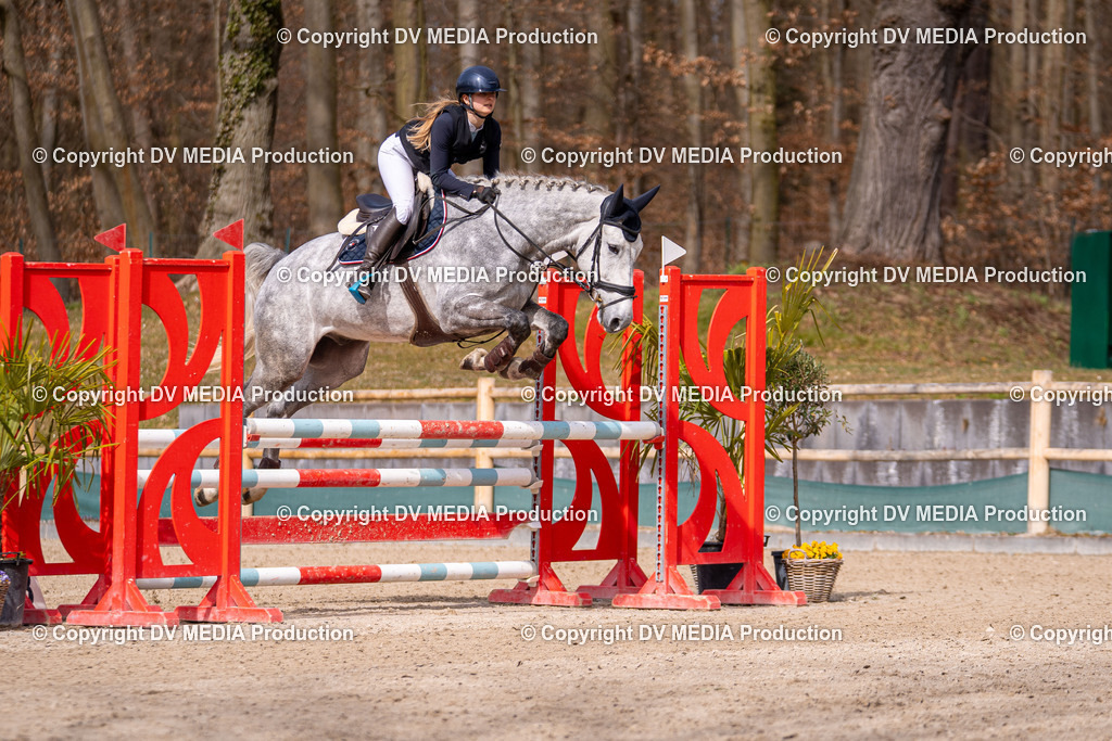 Kranichstein Tag 1-747 | dv-media-shop - Realisiert mit Pictrs.com