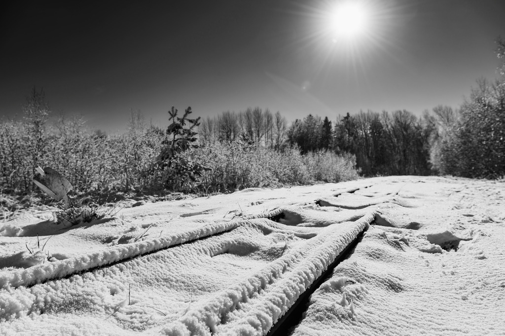 2023_03_11_MCP7262 sw | Hochwertig gedruckte Fotografien für die Wand, als Kalender und zum Verschenken. Hamburg & Norddeutschland und überall wo ich mit der Kamera unterwegs war.
