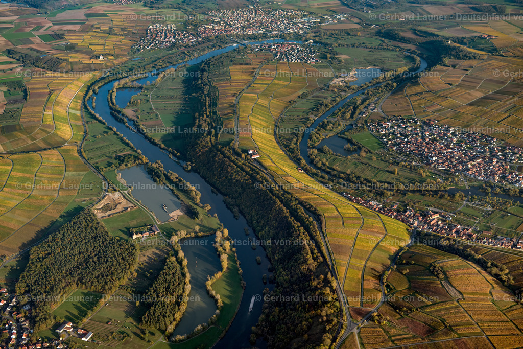 3905349 | Mainschleife und Weinberge bei Volkach
