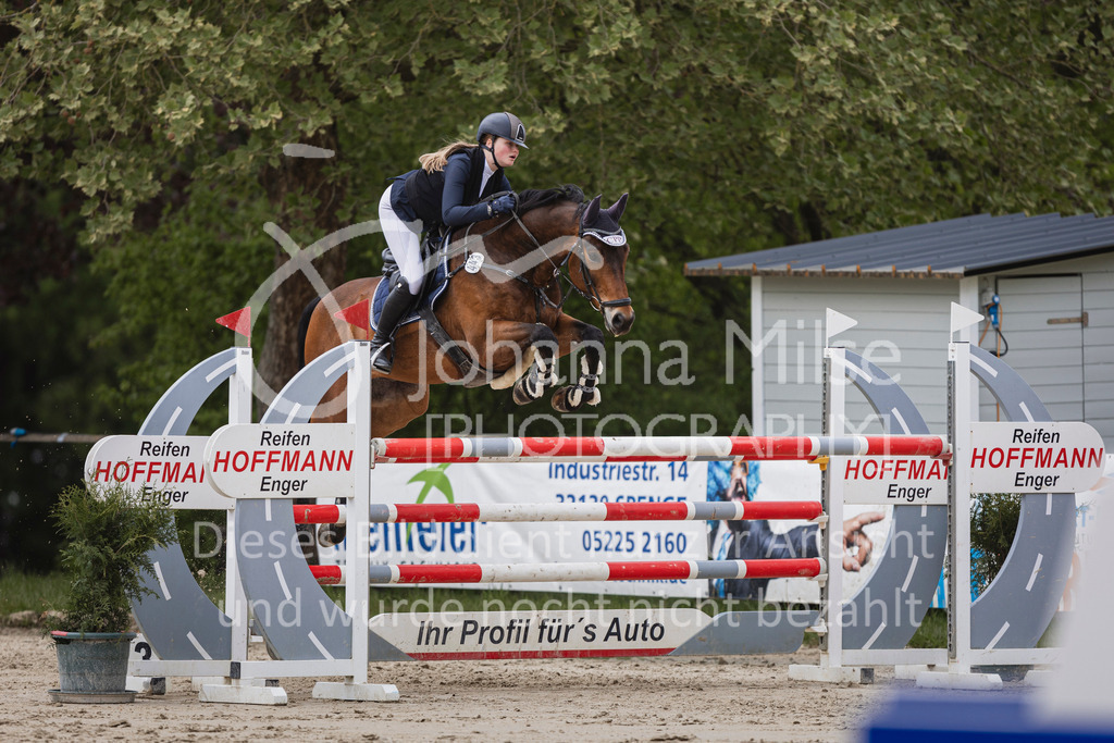 250504_SpengeW_M2-Spr-477 | Deine schönsten Turniermomente als professionelle Fotos! Entdecke hochwertige Pferdesport-Fotografie im Online-Shop. Jetzt Fotos finden & bestellen!