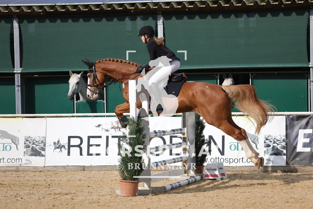 0P6A3346 | Willkommen bei Brunnmayr - Design & Fotografie – Ihrem Spezialisten für Reitturniere und Pferdeveranstaltungen in Oberösterreich, Salzburg und Bayern! Seit über 17 Jahren sind wir leidenschaftlich dabei.